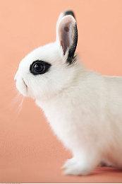 《漫威蜘蛛侠重制版》PC发布更新 优化高核CPU性能